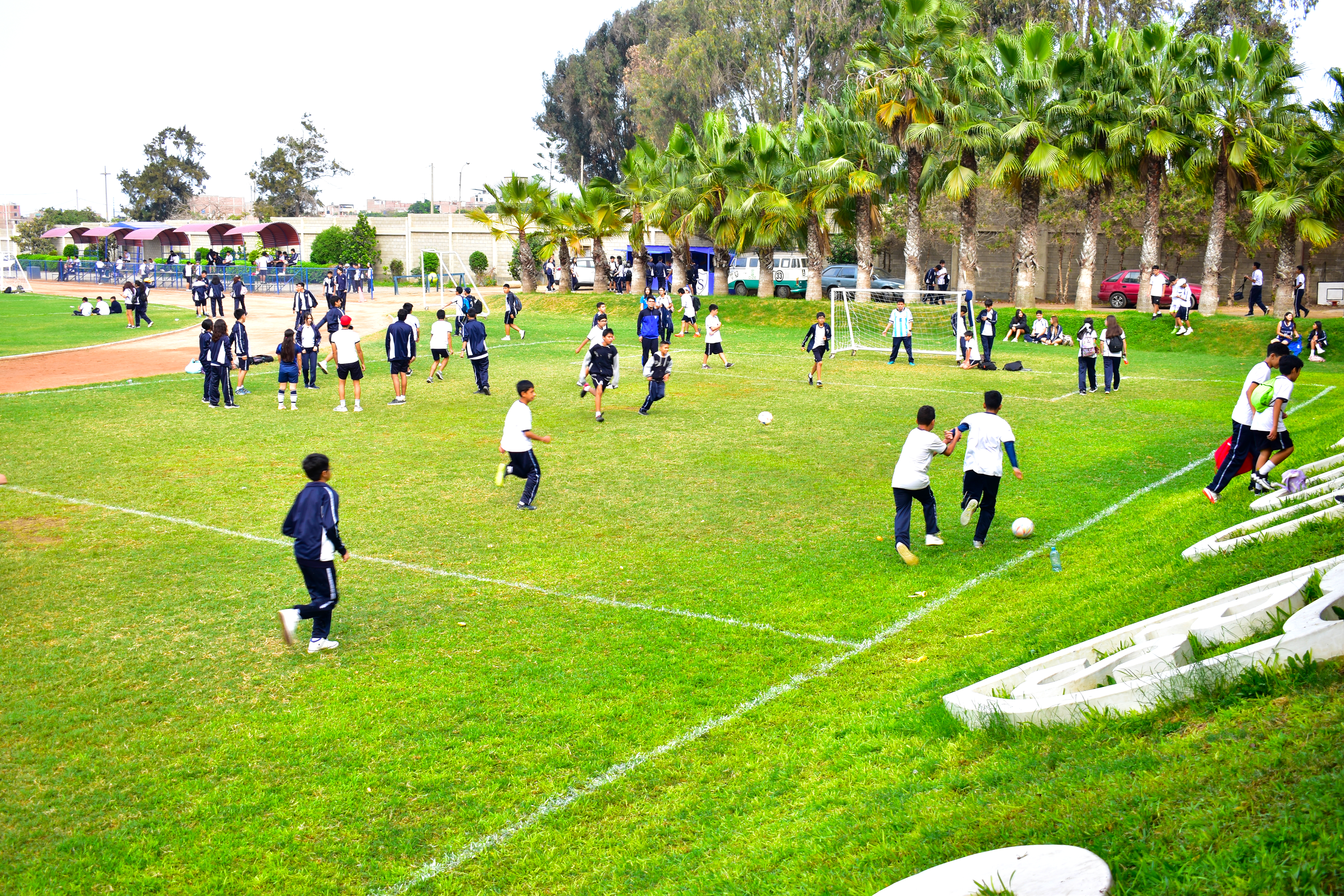 Complejo deportivo, foto 1
